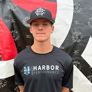 Briggs Ulrich