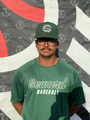 Sarvesh Dhanasekar