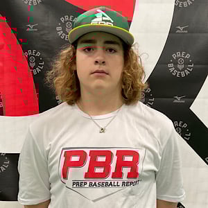 Maxwelton Steinhauer